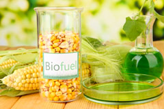 Leicester biofuel availability